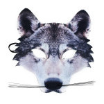 Obličejová maska škraboška vlk dětská látková