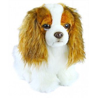 Plyšový pes King Charles Španěl 20 cm