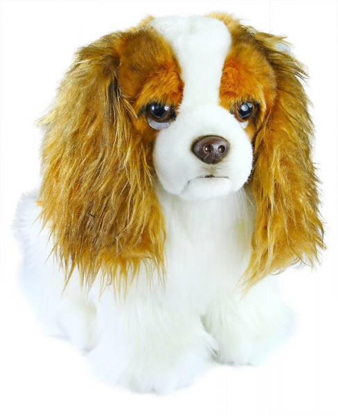 Plyšový pes King Charles Španěl 20 cm